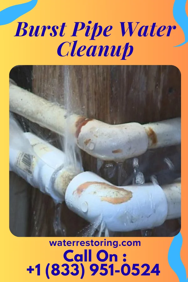 Burst Pipe Water Cleanup in Wilkes-Barre, PA
