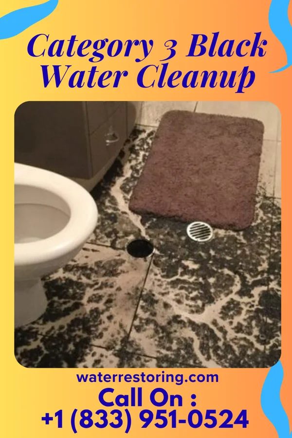Category 3 Black Water Cleanup in Wilkes-Barre, PA