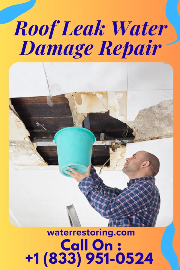 Roof Leak Water Damage Repair in Wilkes-Barre, PA