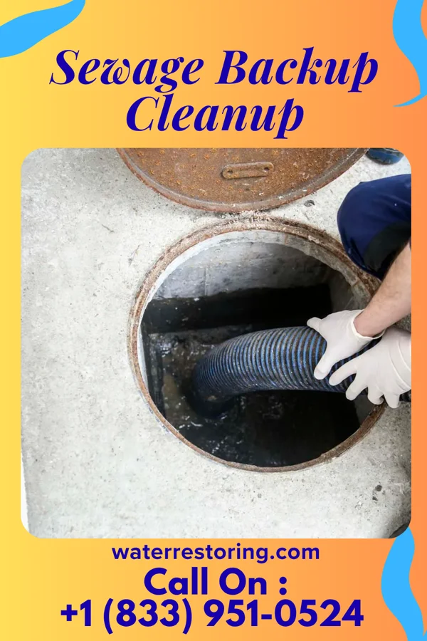 Sewage Backup Cleanup in Wilkes-Barre, PA